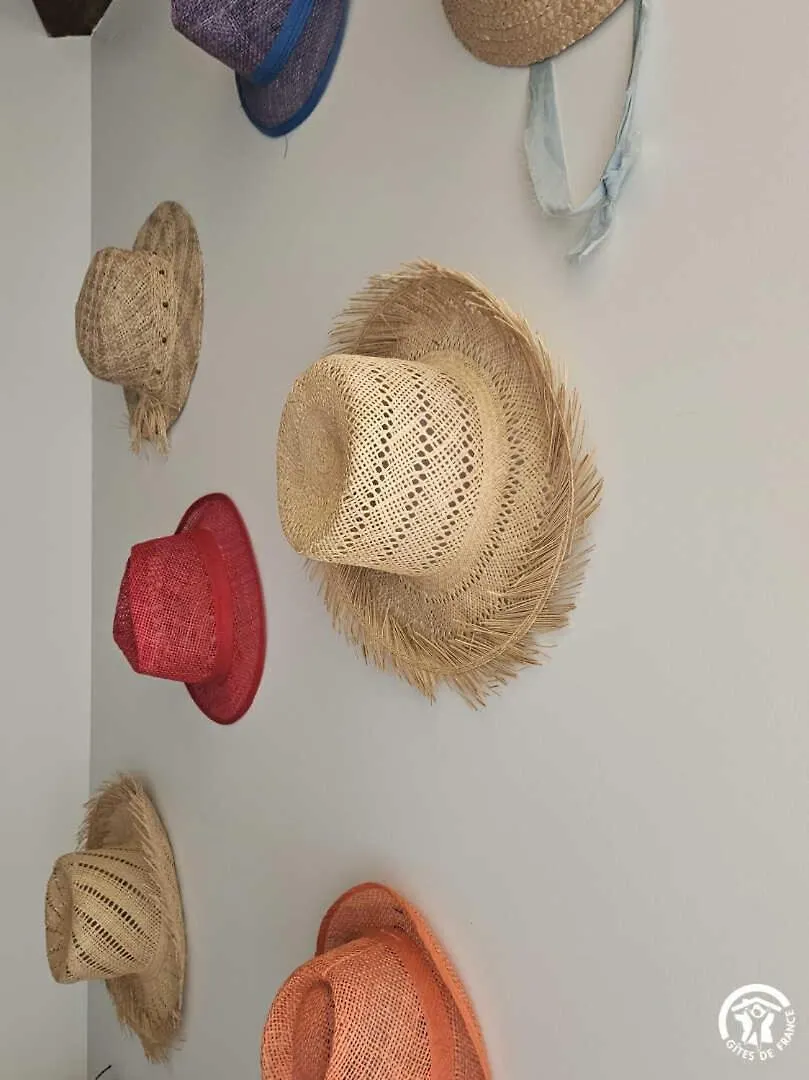 Hébergement de vacances Villa La Surprise Des Jumelles à Castres